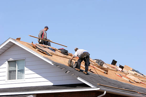 Best Roof Ventilation Installation  in Payette, ID